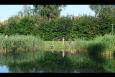 DSC02071