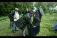 ZWP 7 - Weging (2)