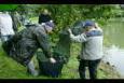 ZWP 13 - Weging (1)