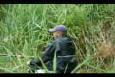 ZWP 39 - Boudewijn de Vliegher (2)