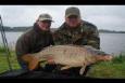 24 - Stek 7 - de eerste voor Jimmy 8,1 kg
