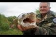 33 - Snoekbaars lust ook boilie 83cm en 5,3 kg