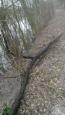IMG-20160319-WA0001