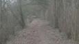 IMG-20160319-WA0003