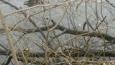 IMG-20160319-WA0013