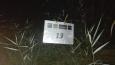 23 - stek 13 - 