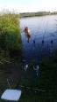 IMG-20190617-WA0005