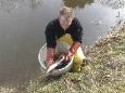 Visuitzetting Snoekbaarsjes2009