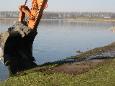 Onderhoud 2009 05