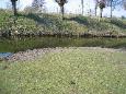Onderhoud 2009 09
