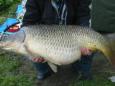Karper 90 cm gevangen door ONI-lid op GOA-water (met 5-beurtenkaart)