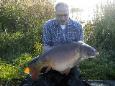 Spiegelkarper 17kg