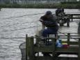 Ferry Lippens - 1
