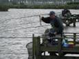 Ferry Lippens  - 2